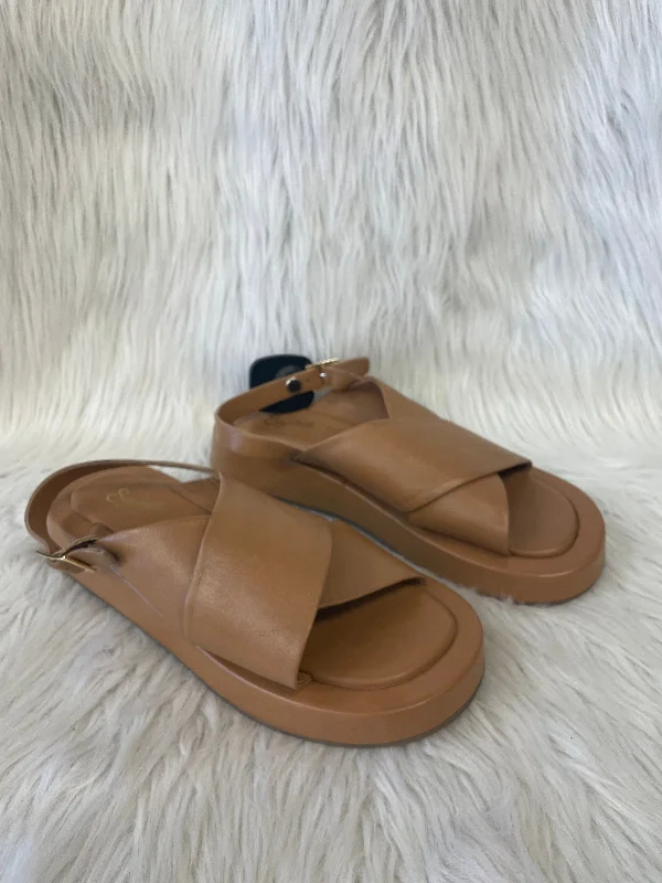 Fashion-forward and trendy women's shoe stylesSandals Heels Wedge By Seychelles In Tan, Size: 8