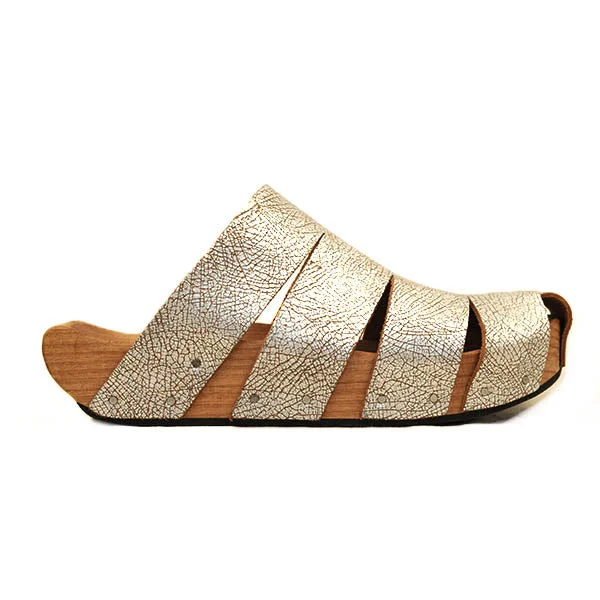 Elegant and sophisticated women's shoes for elegant eveningsPoseidon